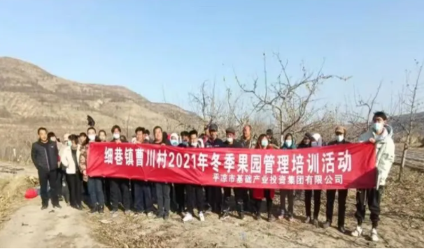 马博平台马博（中国）在静宁帮扶村开展冬季果园管理培训(图3)