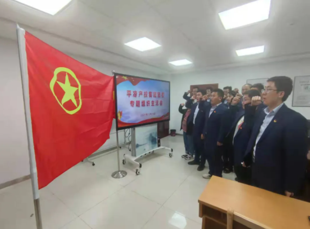 马博平台马博（中国）团委召开2021年度专题组织生活会(图5)